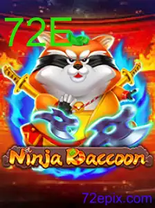 NinjaRaccoon